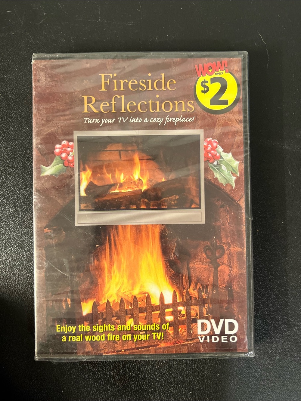Fireside Reflections (DVD, 2010) New Sealed